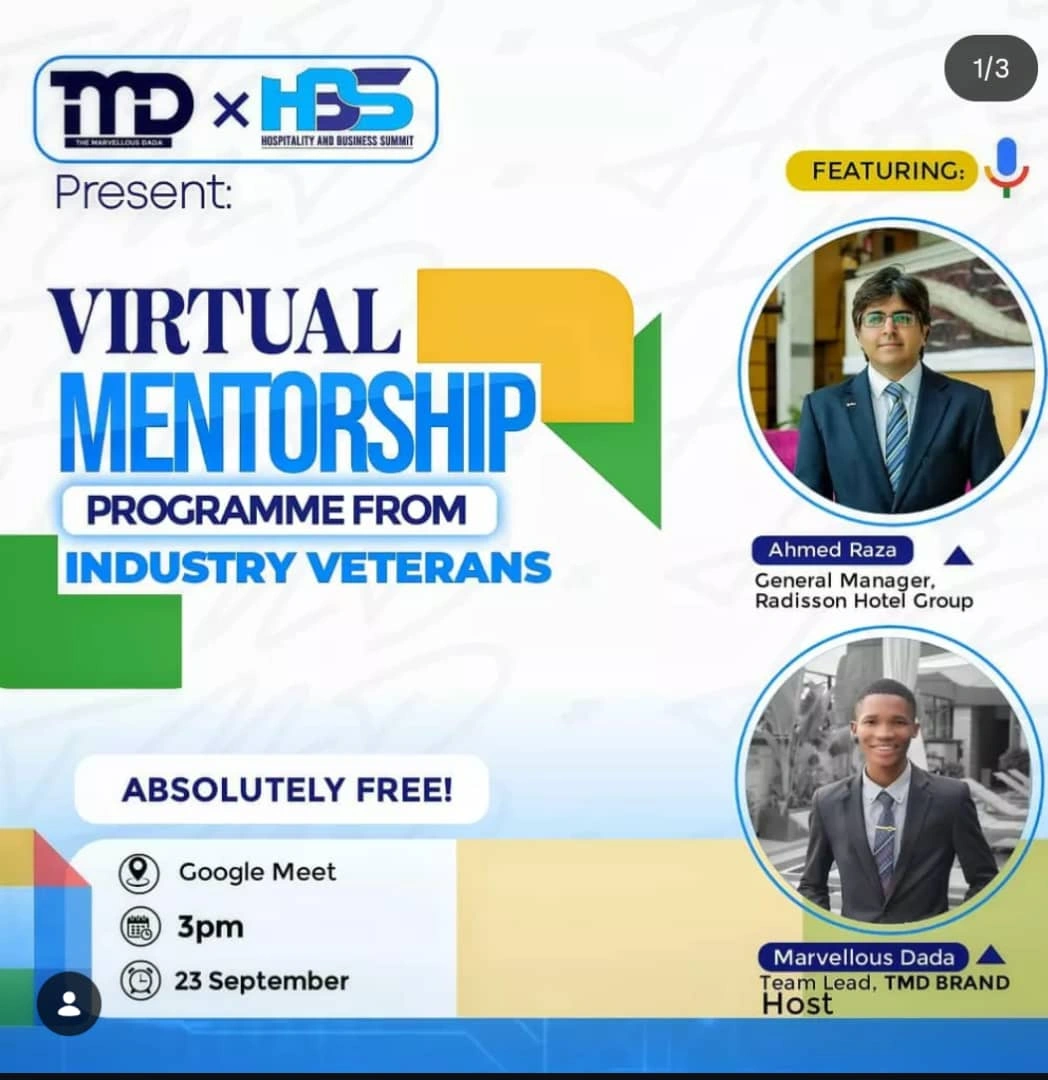 Virtual mentorship session